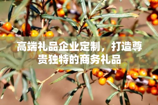 高端礼品企业定制，打造尊贵独特的商务礼品