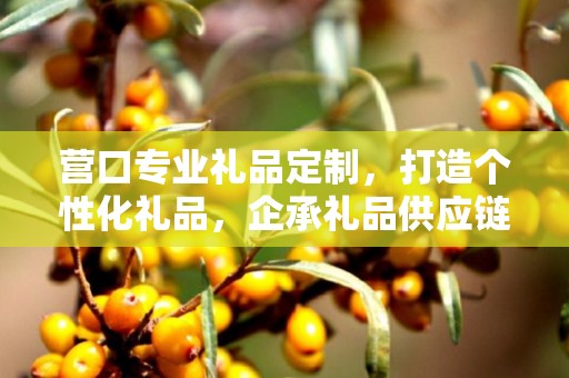 营口专业礼品定制，打造个性化礼品，企承礼品供应链